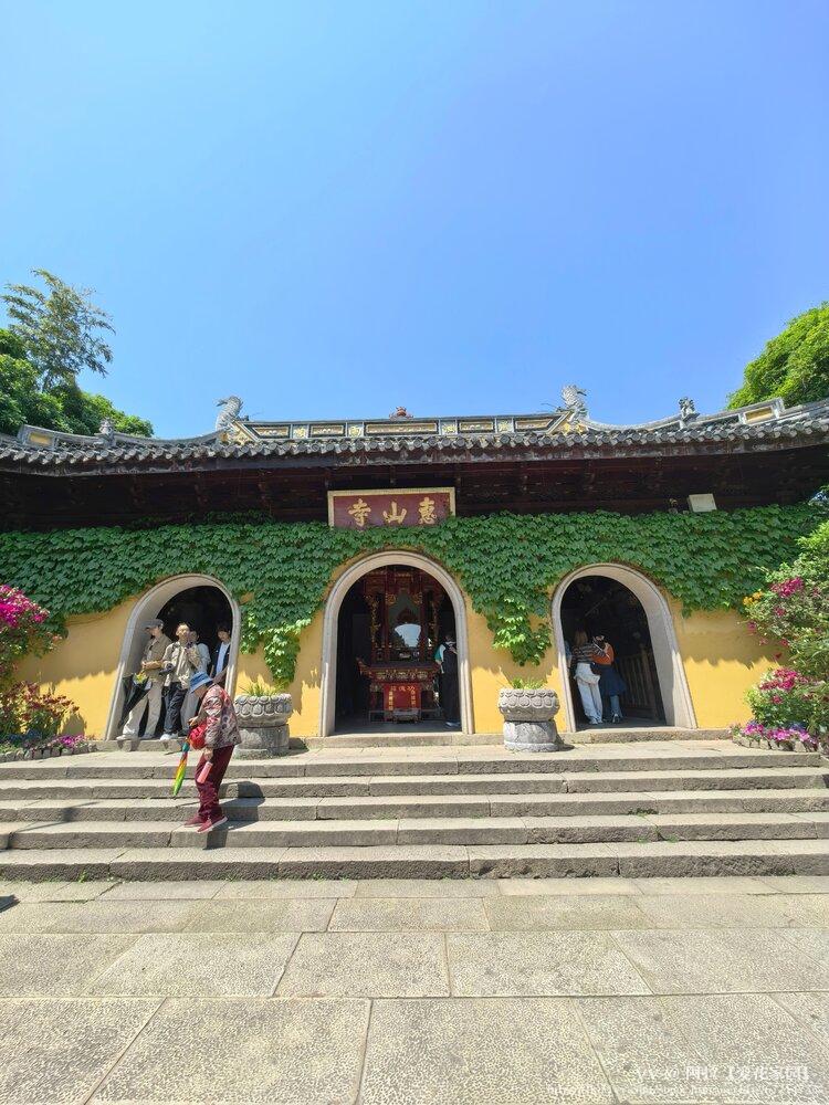 阿拉【爱花家园】