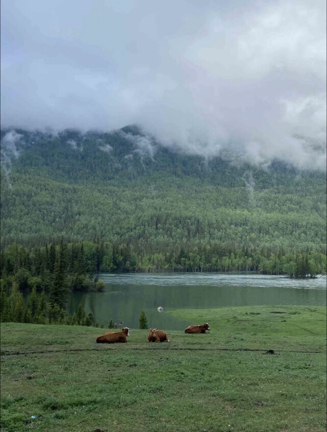 霸气💞一个叫木头吖