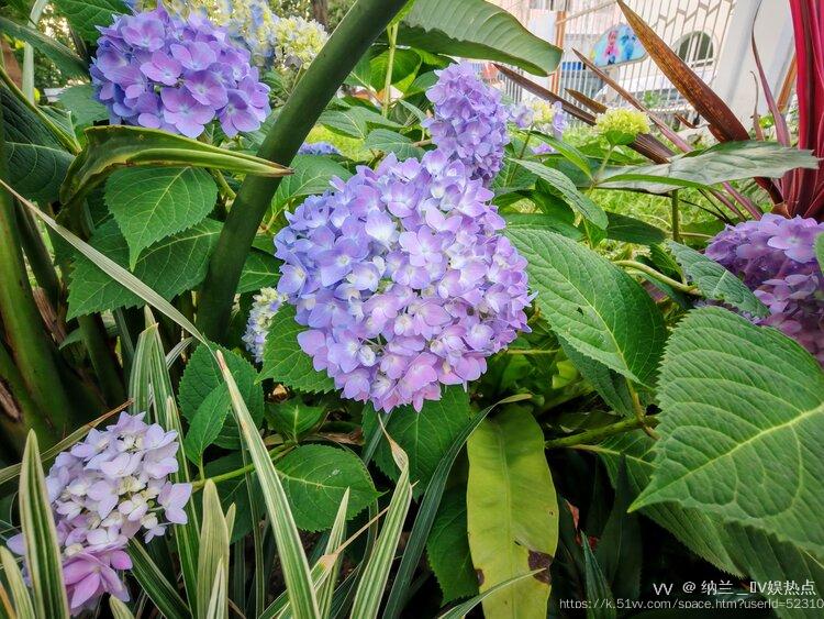 纳兰＿🎤V娱热点