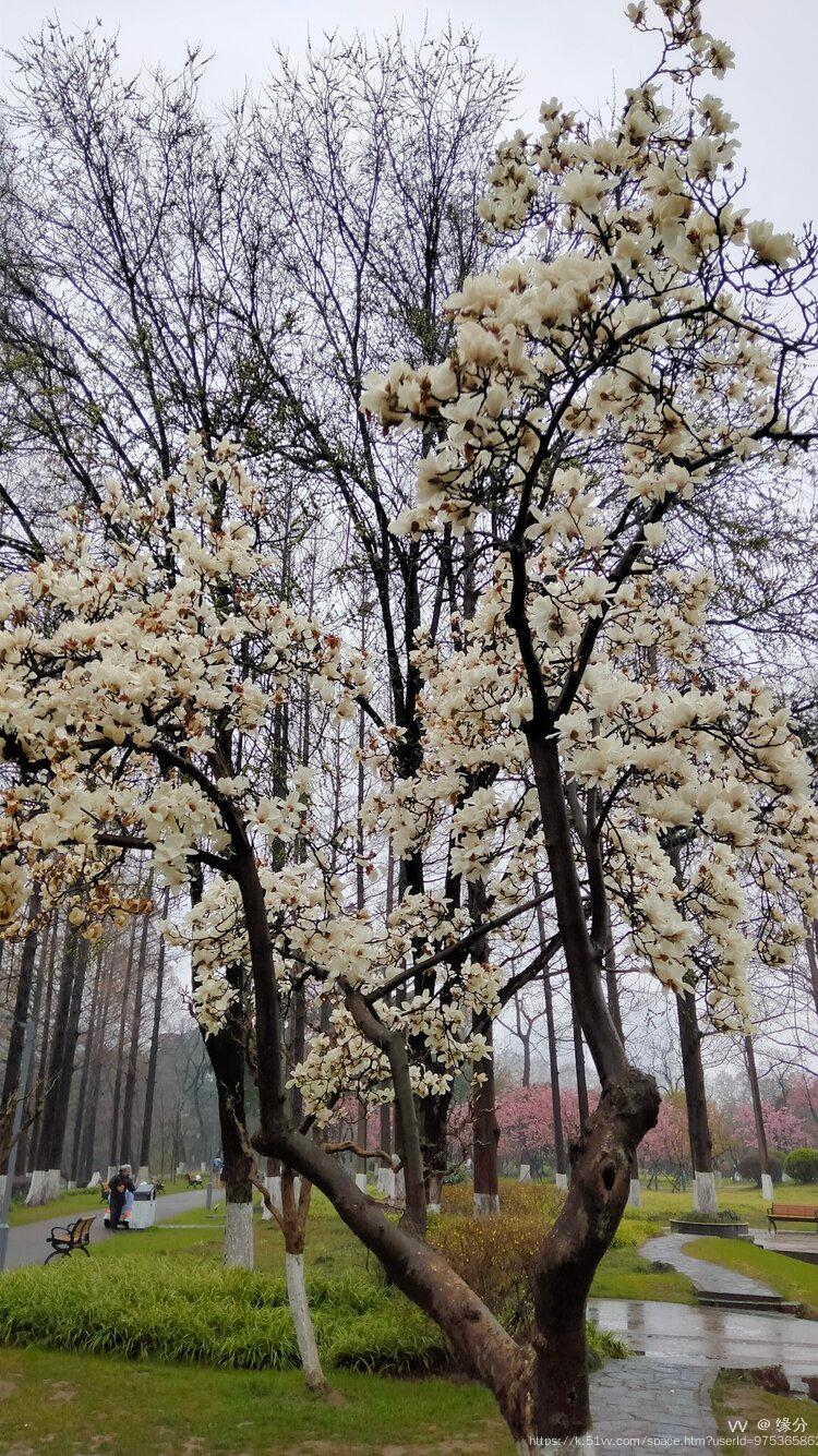 缘分