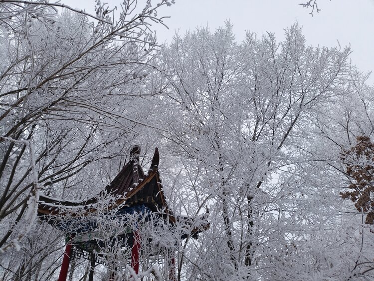 雪儿🎤V娱热点