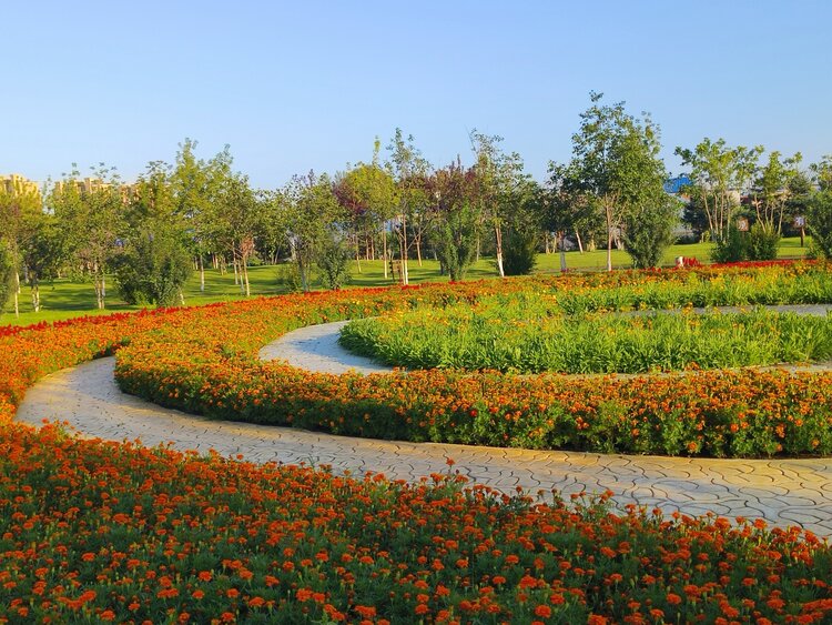 雪儿🎤V娱热点