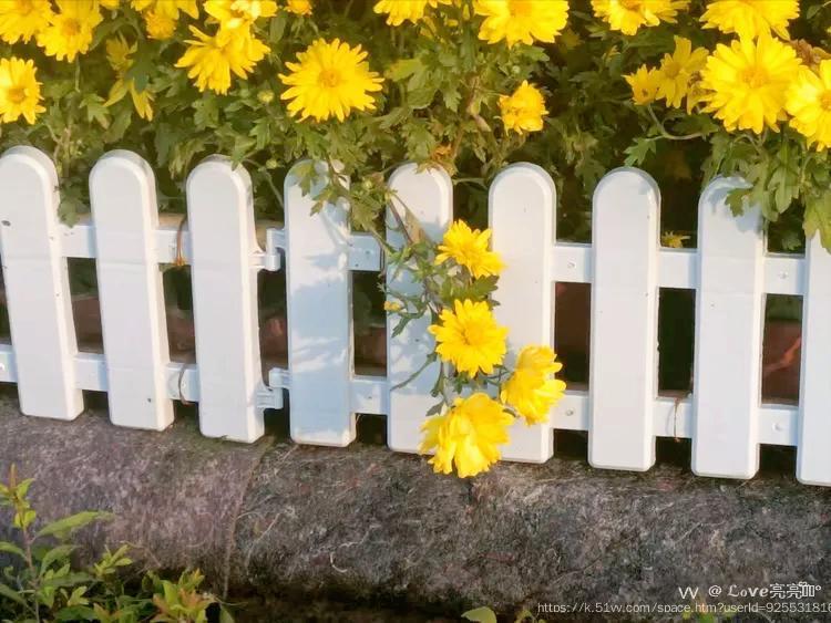 ℒℴѵℯ亮亮ꦿ໊ོ °