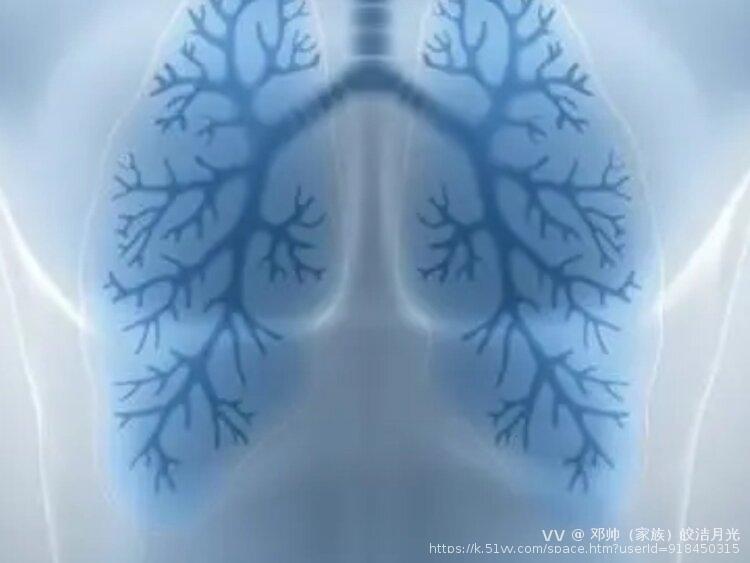 邓帅（家族）皎洁月光