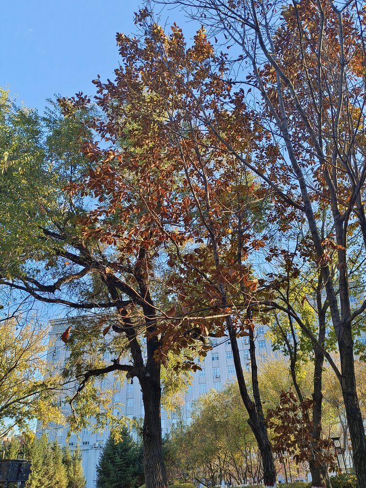 雪儿🎤V娱热点