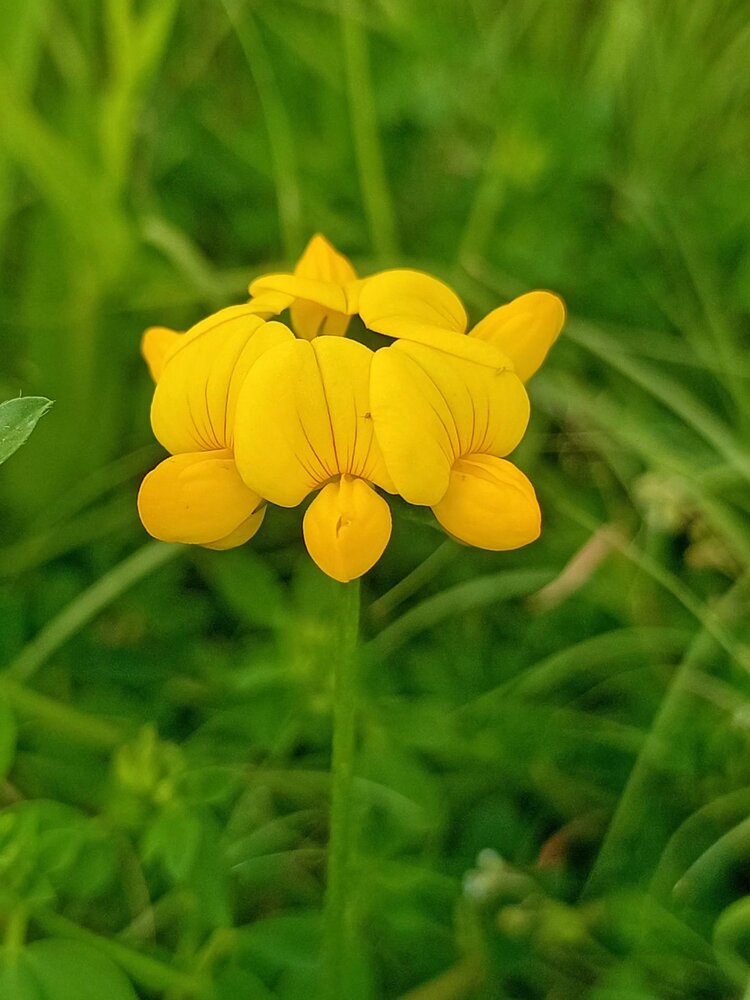 ྅爱ོℒฺℴฺ自νℯฺ己ོ༉