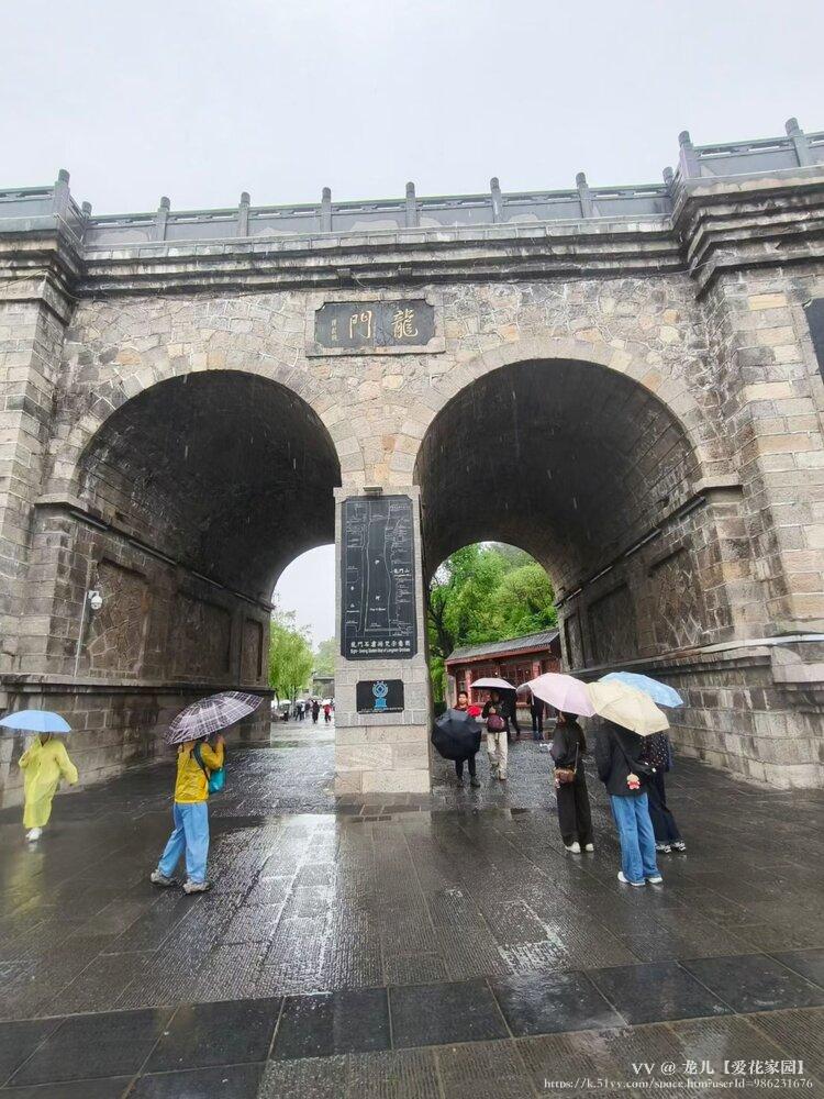 龙儿【爱花家园】