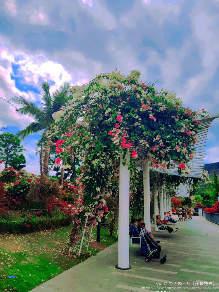 野火烧不尽【美摄视界】