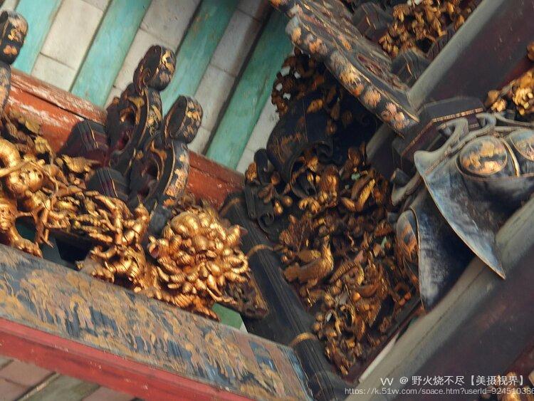 野火烧不尽【美摄视界】
