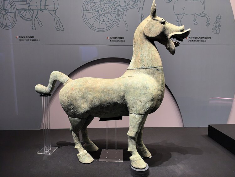 长根（龚长根）上海