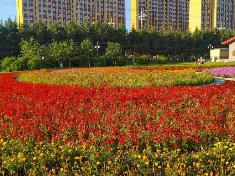 雪儿🎤V娱热点