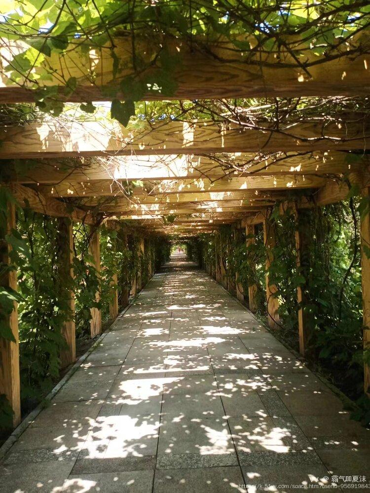 霸气🇨🇳夏沫