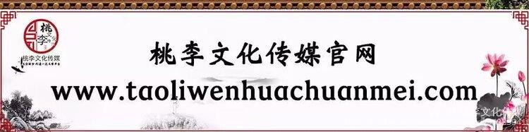 桃李文化传媒
