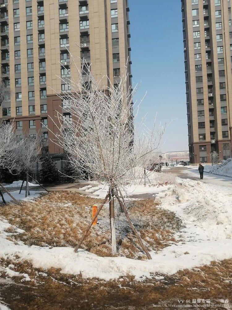 温馨麦霸🎻💝寒香