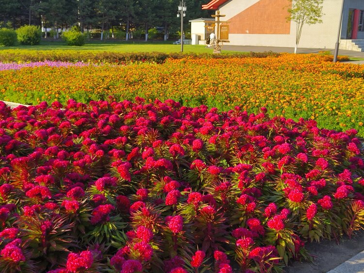 雪儿🎤V娱热点