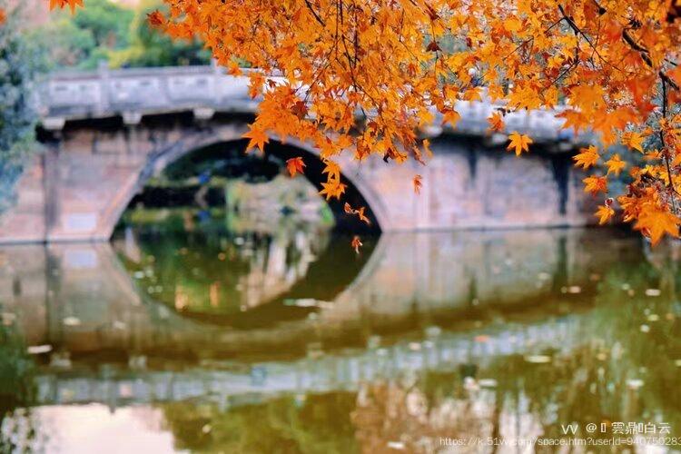 💫 雲鼎🍁白云 