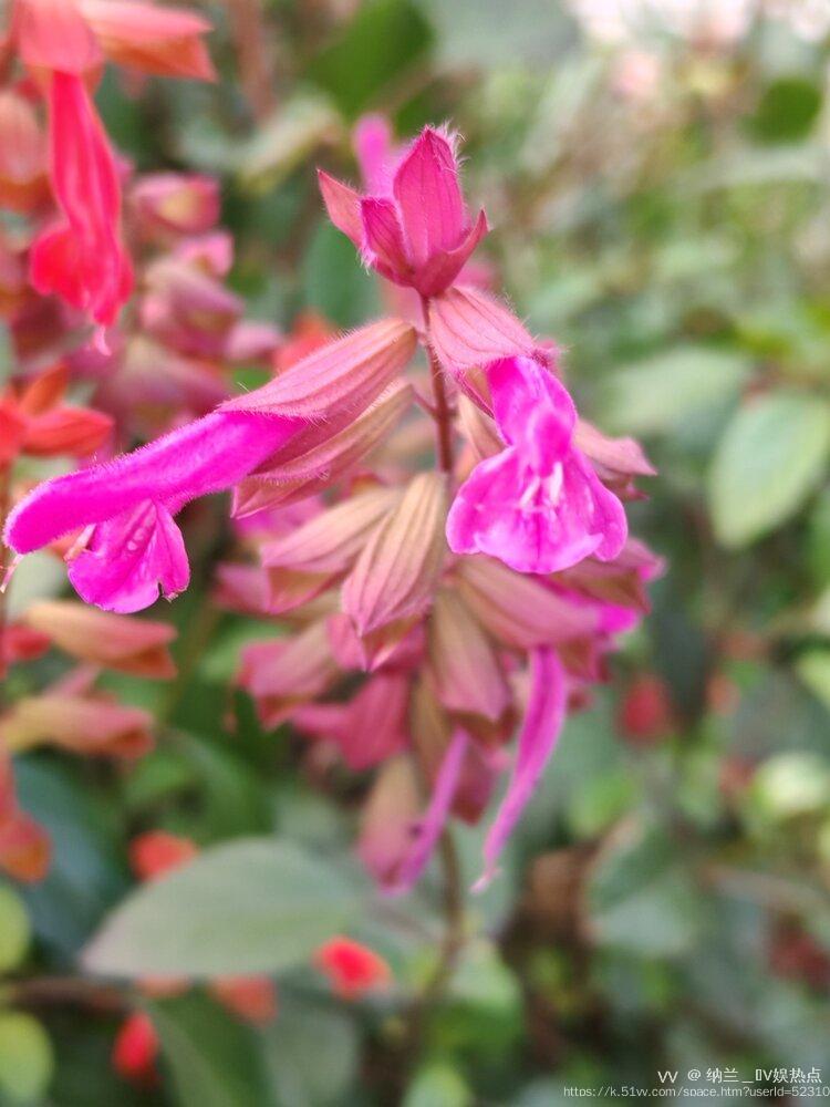 纳兰＿🎤V娱热点