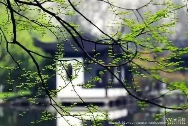 玉虹