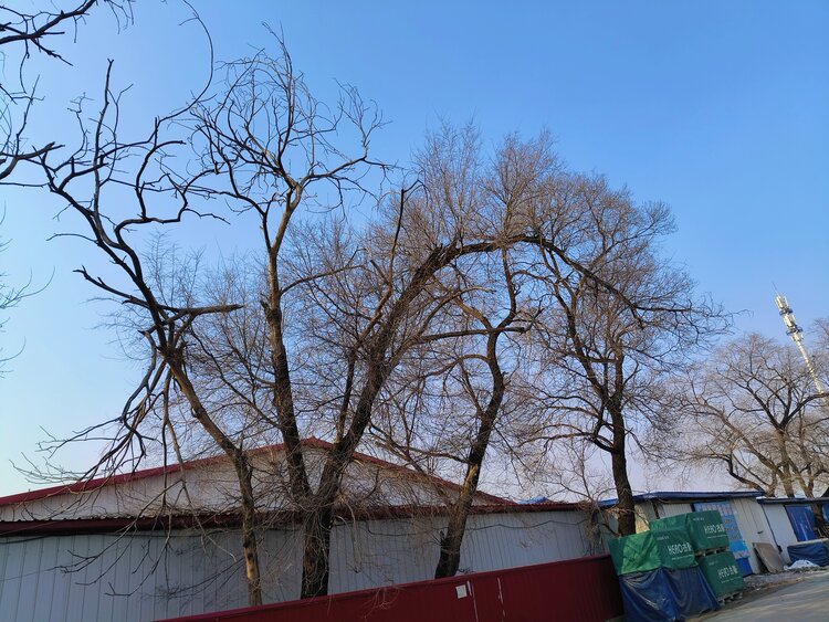 雪儿🎤V娱热点