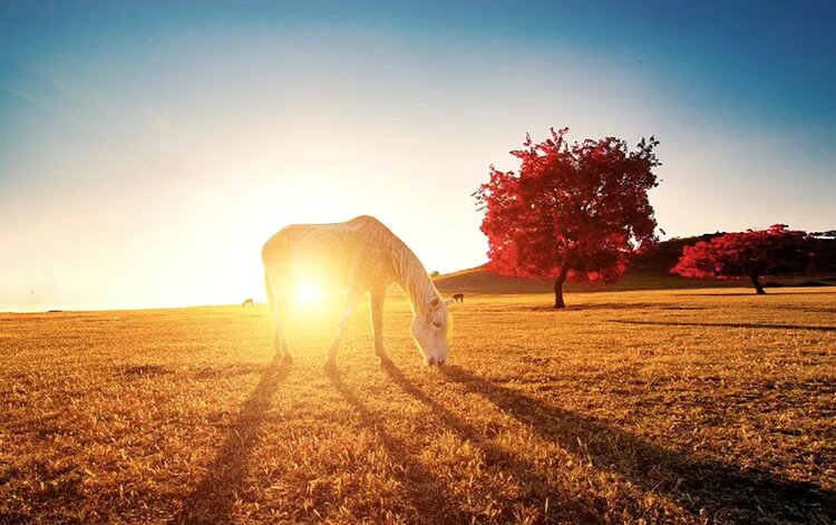 雪儿🎤V娱热点