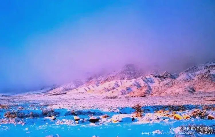 银川市诗词学会