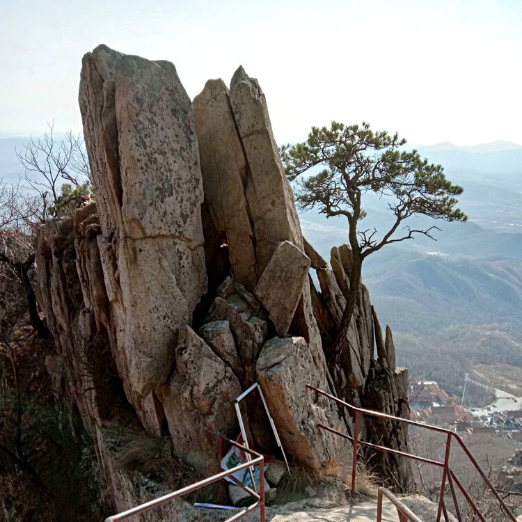 张国政(爱国军旅文坛)