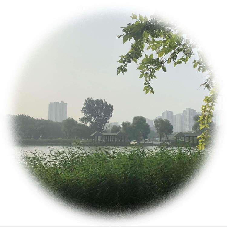 青士李振汉