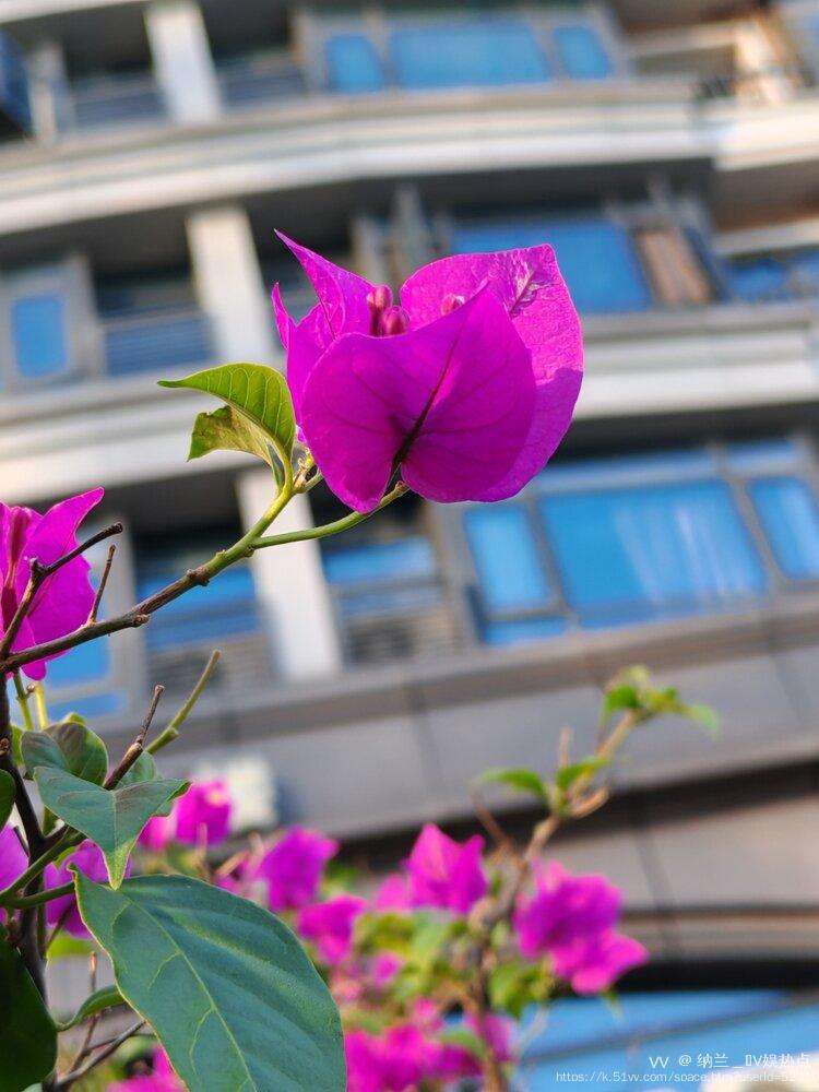 纳兰＿🎤V娱热点