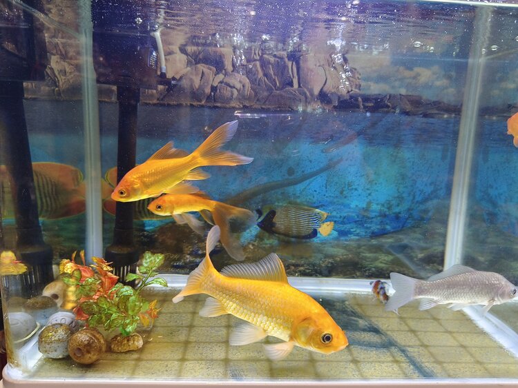 雪儿🎤V娱热点