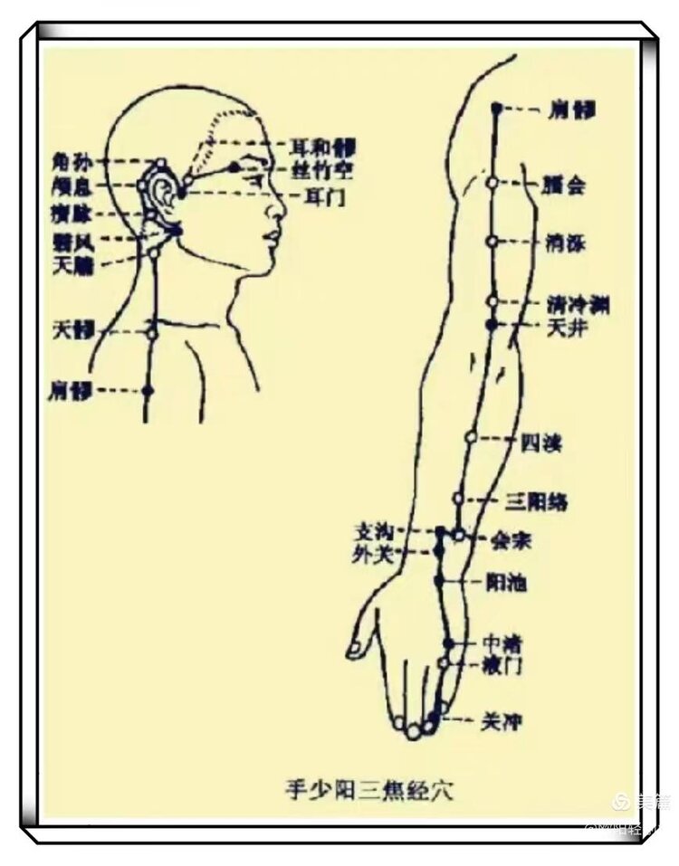 VⅤ深山老林