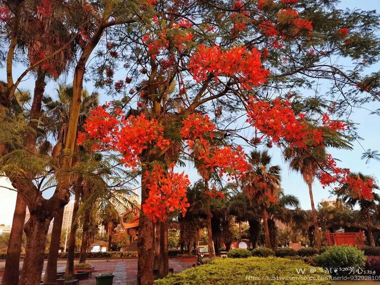 ✎ℳ❦̯⁵²⁰芳心₁₃₁₄̯