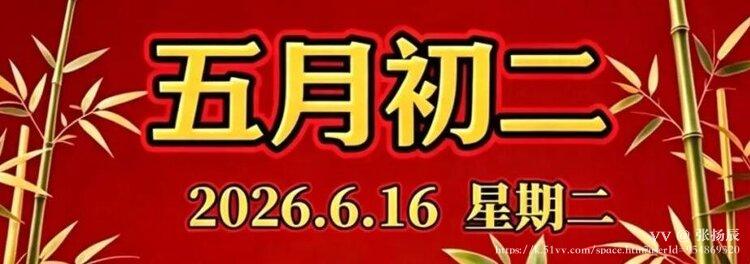 张扬辰