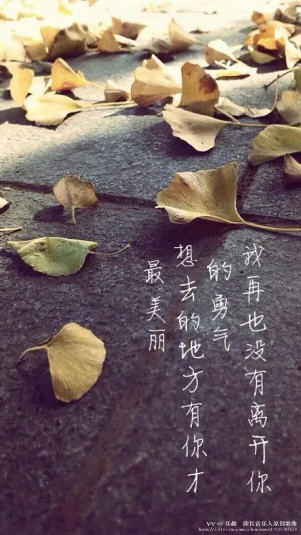 乐趣🍀族长音乐人原创歌曲