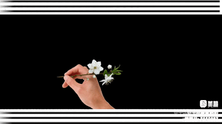 🚴‍♂️绿洲之恋🚴‍♂️