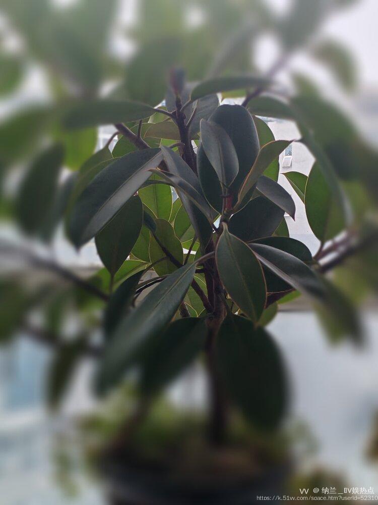 纳兰＿🎤V娱热点