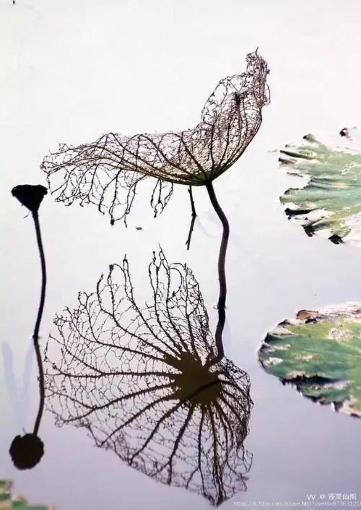 蓬莱仙阁