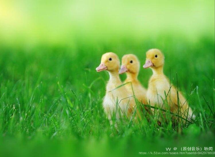 （原创音乐）聆闻