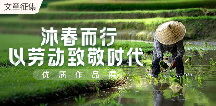 文章官方-心心