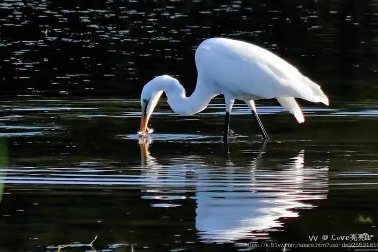 ℒℴѵℯ亮亮ꦿ໊ོ °