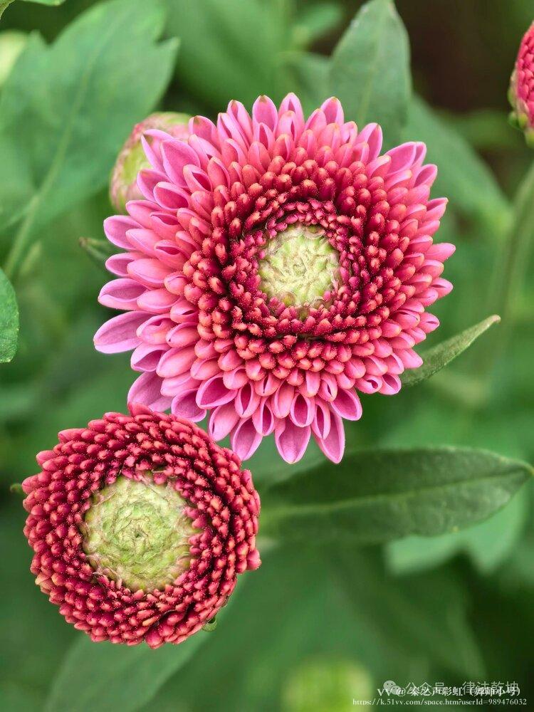 秦之声彩虹（舞师小号）