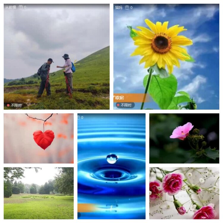 梅香🎤V娱热点