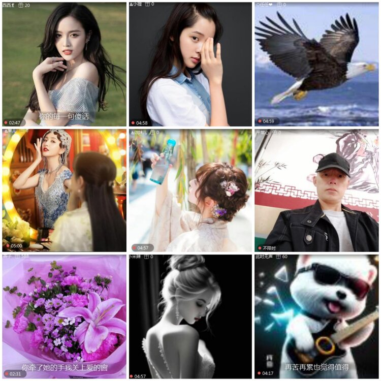 思点🎤V娱热点