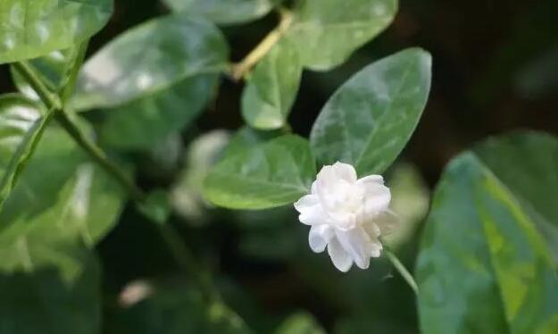 曾经🎤V娱热点