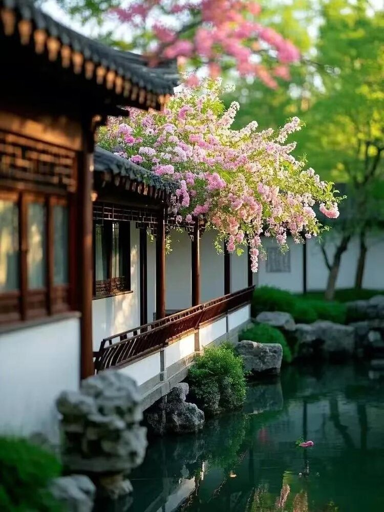 小浅🎤V娱热点