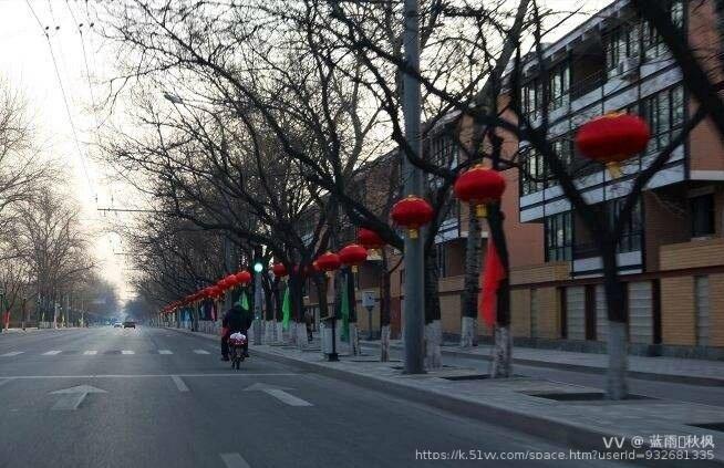 蓝雨🍁秋枫