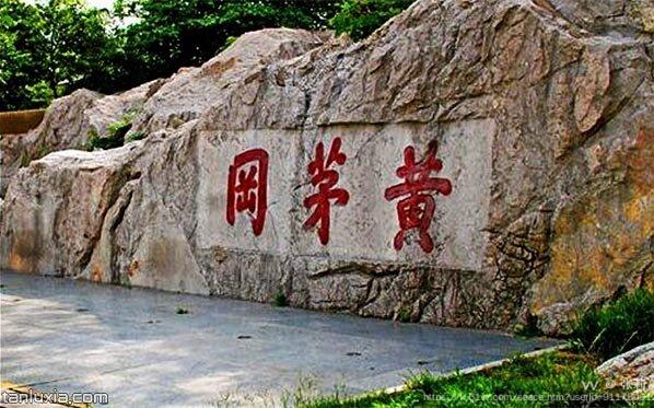 张莉