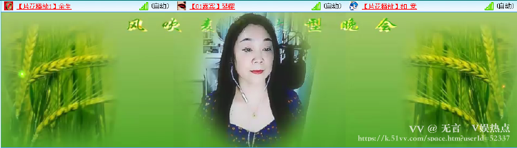 无言🎤V娱热点