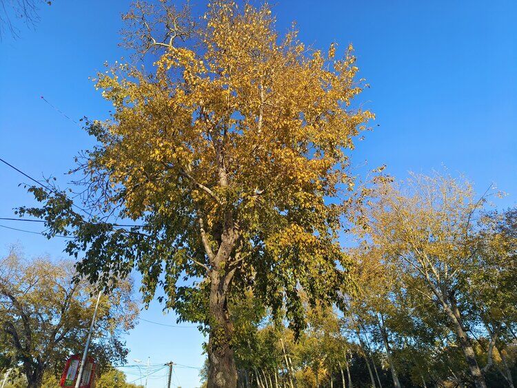 雪儿🎤V娱热点