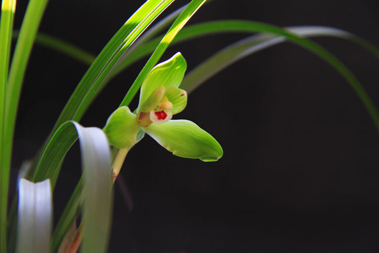 曾经🎤V娱热点