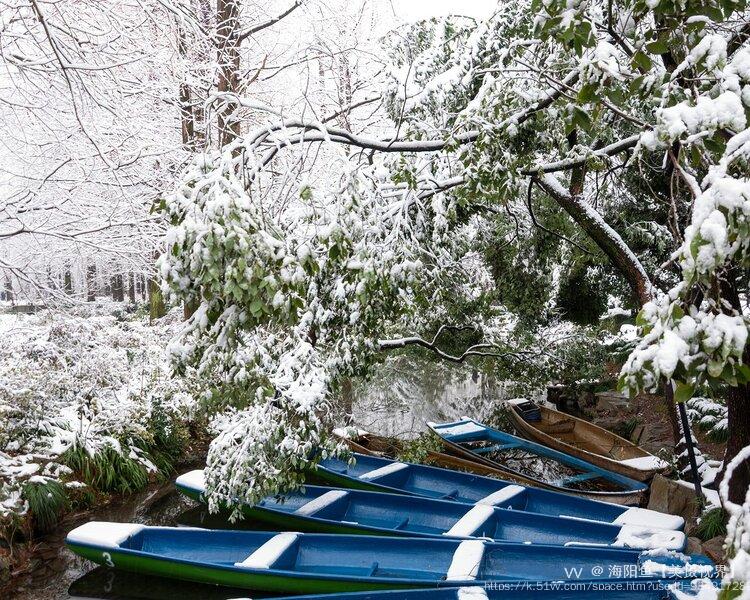 海阳鱼【美摄视界】